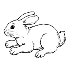 Funny rabbit coloring page for children. Top 10 Free Printable Rabbit Coloring Pages Online
