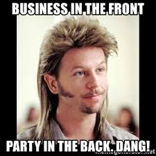 Use custom templates to tell the right story for your business. Business In The Front Party In The Back Dang Joe Dirt Meme Generator