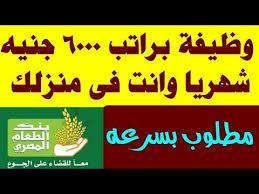 ستجد وظائف شاغرة جديدة وفرص متميزة على أكبر موقع للوظائف وأكبر صحيفة وظائف في المنصورة. Ø¥Ø´Ø¹Ø§Ø¹ Ø§Ù„Ø§Ù†Ø·Ø¨Ø§Ø¹ Ø³ÙˆØ±ÙŠÙƒÙŠÙ†Ù…Ùˆ ÙˆØ¸ÙŠÙÙ‡ Ù…Ù† Ø§Ù„Ù…Ù†Ø²Ù„ Ø¨Ø±Ø§ØªØ¨ Ø´Ù‡Ø±ÙŠ Allseasonsoutdoorkitchens Com
