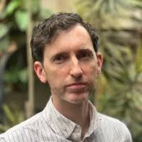 Freeform, filled shapes