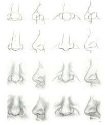 Anatoref Nose Drawing Drawings Drawing Techniques