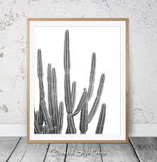 Large Black And White Botanical Prints Desert Cactus Print Black And White Succulent Print Botanical Print Cactus Art Coastal Wall Art Large Poster Cactus Photography 122b Cactus Photography Cactus Art Succulents Prints