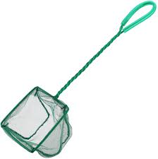 Canlı maç izle ile hd kalitesinde canlı maç yayınlarını ve kescintisiz bedava lig tv,bein tv izleyebilirsiniz. Amazon Com Pawfly 4 Inch Aquarium Net Fine Mesh Small Fish Catch Nets With Plastic Handle Green Pet Supplies