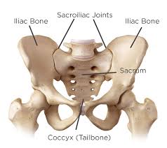 In most cases, there is a confusing pattern of back and pelvic pain that mimic each other, making diagnosis of si joint syndrome sometimes challenging. Sacroiliac Si Joint Dysfunction Causes Symptoms Treatments