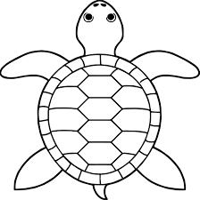 Awesome Tortoise Turtle Top View Coloring Pages Turtle Coloring Pages Turtle Drawing Tortoise Turtle