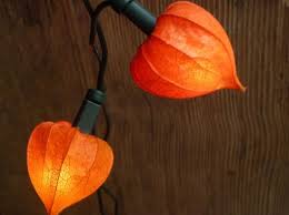 Lampionlichterkette Lampions Weihnachtslichter Lampionblume