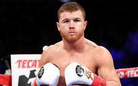 Alvarez was estimated to be worth around £33m ($44.5m) in total according to. Canelo Alvarez Net Worth Fight Purse The Talking Moose