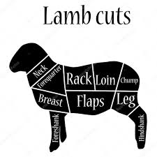 Images Lamb Cuts Meat Chart Butcher Chart Lamb Stock