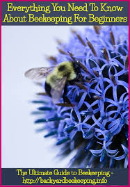 Birds Do It Bees Do It Lyrics Keeping Bees And Beekeeping In 2020 Bee Keeping Backyard Bee Bee