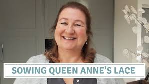 Wild Carrot (Queen Anne's Lace) with Katherine Elmer