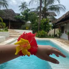 Image result for Heinsia zanzibarica