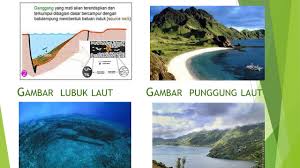 Memahami proses pembentukan terumbu karang. Presentasi Tentang Bentuk Dan Potensi Muka Bumi Youtube