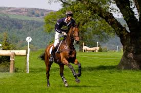 Die vielseitigkeitsprüfung, international auch als eventing bezeichnet, ist ein in athen 2004 war der geländeritt nur noch 5 km lang und ohne hindernisse. Gelanderitt Wikipedia