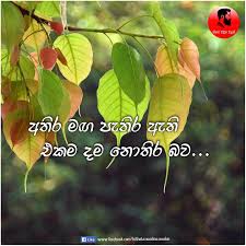 Hithata wadina wadan sinhala new 2020. à¶‹à¶³ à·€à¶´ à¶´ à¶» à·„ à¶­à¶§ à·€à¶¯ à¶± à·€à¶¯à¶± Hithata Wadina Wadan Facebook