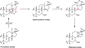 Image result for Entandrophragma delevoyi