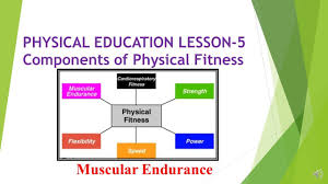 See full list on sportscienceinsider.com Physical Education Lesson 5 Components Of Physical Fitness Muscular Endurance Youtube