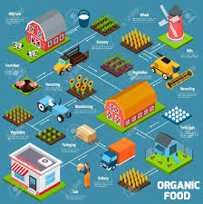 Organic Food Production Process Flowchart With Products Growing