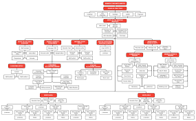 Organizational Structure Nuvelco