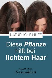 hausmittel hilft bei lichtem haar in 2021 gesunde haare tipps haare pflegen hausmittel gegen haarausfall