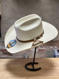 Image result for stetson