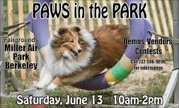Paws in the Park