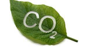 These are the main two points of the carbon cycle. Les Entreprises Demandent Des Corrections De La Loi Sur Le Co2 Economiesuisse