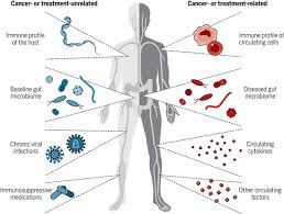 Communication is your key to relationship success. The Hallmarks Of Successful Anticancer Immunotherapy Science Translational Medicine