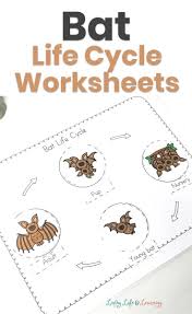 Bat Life Cycle Worksheets In 2020 Cycle For Kids Life Cycles Fun Science