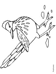 Flowers coloring pages (find many of the state flowers, but without the information written on the page) dltk's countries and cultures activities for kids (crafts, coloring, recipes and more) mojave desert habitat facts and coloring pages (information, worksheets, and activities) Roadrunner Animals Coloring Pages Coloring Page Book For Kids