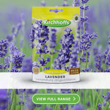 Image result for Ruspolia australis