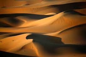 Liwa oasis, emirado de abu dhabi, emirados árabes unidos. In Pics Abu Dhabi S Liwa Oasis Arabianbusiness