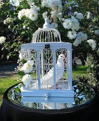 Single Dove Release Dove Release Wedding Doves Dream Wedding