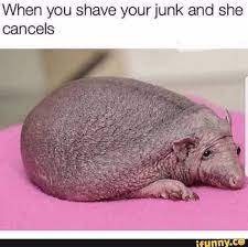 Pin On Funny