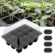 Learn how to germinate and when to transplant your seedlings so you get the fastest growth. You S Auto 5pcs Seed Trays With Lids Each 12 Cells Seedling Trays For Greenhouse Plant Germination Trays Planting Seedling Trays Seeding Germination Growing Black Buy Online In Azerbaijan At Azerbaijan Desertcart Com Productid