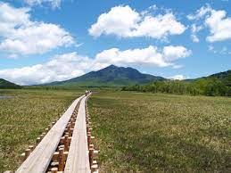 空の広さに気づくかも 尾瀬ヶ原 群馬 青空 草原 尾瀬 観光 夏 風景