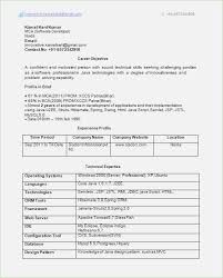 Best Resume Format For 1 Year Experienced Best Resume Examples