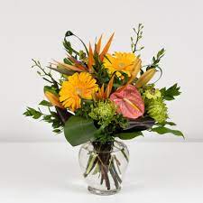 Maybe you would like to learn more about one of these? Visions Of Paradise Asiatic Lilies Visalia Florist Sequoia Plaza Flowers Local Flower Delivery Visalia Ca 93291