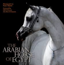 Why are arabian horse so special? The Arabian Horse Of Egypt Hussein Princess Alia Bint Al Culbertson Cynthia Marei Nasr Amazon De Bucher