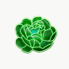 Neon Green Rose Transparent Png Premium Image By Rawpixel Com Awirwreckkwrar Flower Illustration Rose Illustration Green Rose