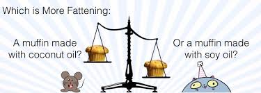 She has truly encapsulated what the human diet looks like. Weight Loss Dr Cate