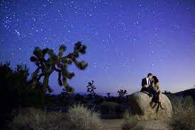Nov 13, 2020 · you'll find cheap wedding invitations on zazzle to match any wedding theme, from elegant floral to snazzy art deco. Long Exposure Engagement Photos Shot Under The Starry Night Sky Engagement Photoshoot Engagement Photos Engagement Shoots