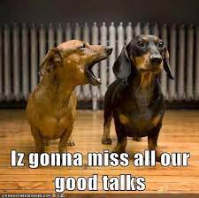 I Has A Hotdog Im Going To Miss You Im Going To Miss You Very Cute Dogs Bad Dog Breath Funny Dog Pictures