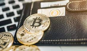 I got my first bitcoin in december 2012, as a gift, said john ratcliff, a video game developer who lives near pikes peak in colorado. How I Got Rich With Bitcoin Large Bitcoin Owners Geo Transport Service Doo