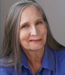 Five-day photo+sphere pairs art and science