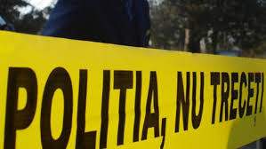 Aici, lângă drum, era o groapă pentru apă. Triplu Asasinat In Satu Mare Criminalul E CÄƒutat De PoliÈ›ie Digi24