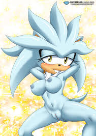 Silver the hedgehog :: StH Characters :: Sonic :: fandoms  funny cocks &  best free porn: r34, futanari, shemale, hentai, femdom and fandom porn