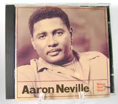 Warm Your Heart: Aaron Neville, Franz Schubert, Traditional, Jim Bailey,  David Campbell, Darryl Johnson, David Lindley, Willie Green, Dean Parks,  Nathan Rubin, Patrice May, Pavel Farkas, Jimmy Johnson, Jim Keltner, Jeremy  Constant,
