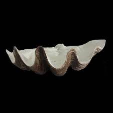 Find great deals on ebay for extra large clam shell. Large Polyresin Clam Shell Decorative Accessories Gumtree Australia Gold Coast City Carrara 1224340491
