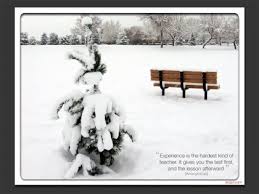 Bench Quotes. QuotesGram via Relatably.com