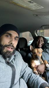 Pit bull/bull dog mix adoption in Passaic county NJ